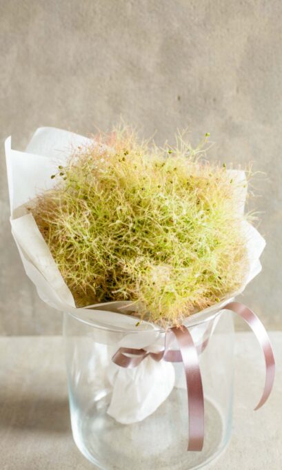 スモークツリーの優しいブーケ：即日発送